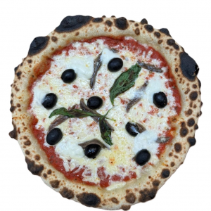 Anchovy 9