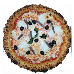 Anchovy 12